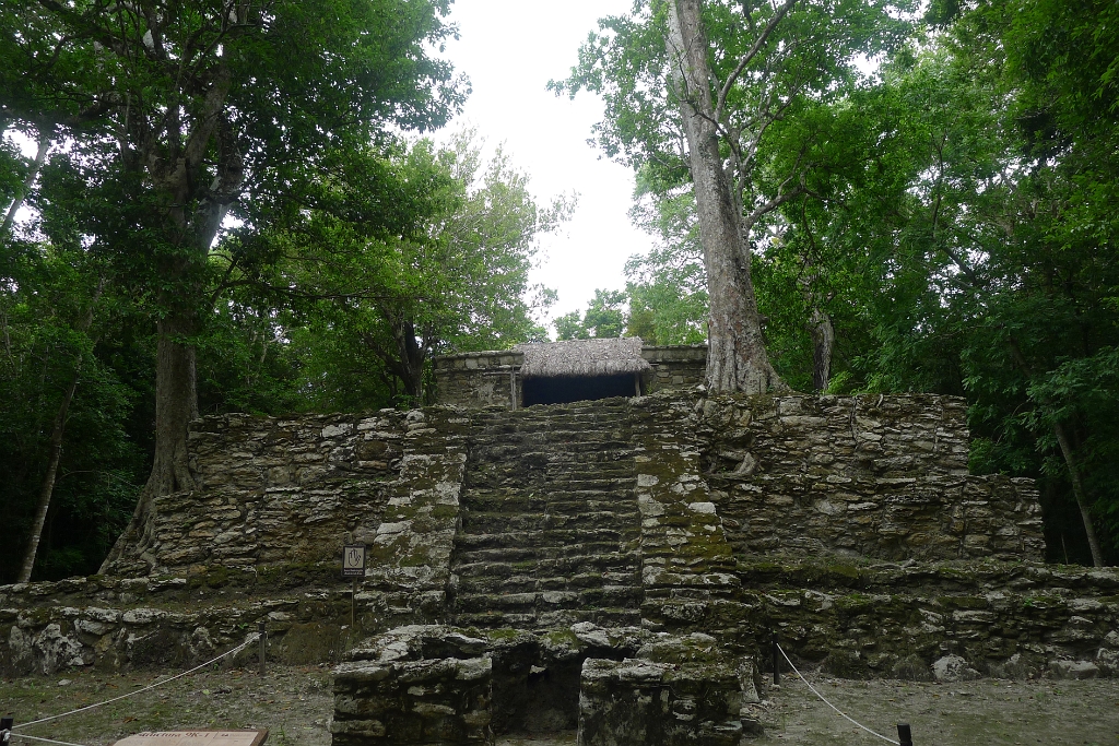 P1240039