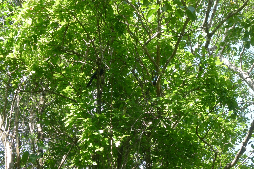 P1240073