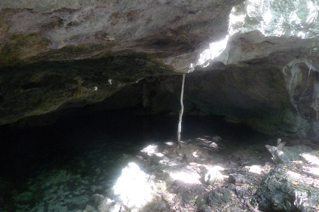 P1240088