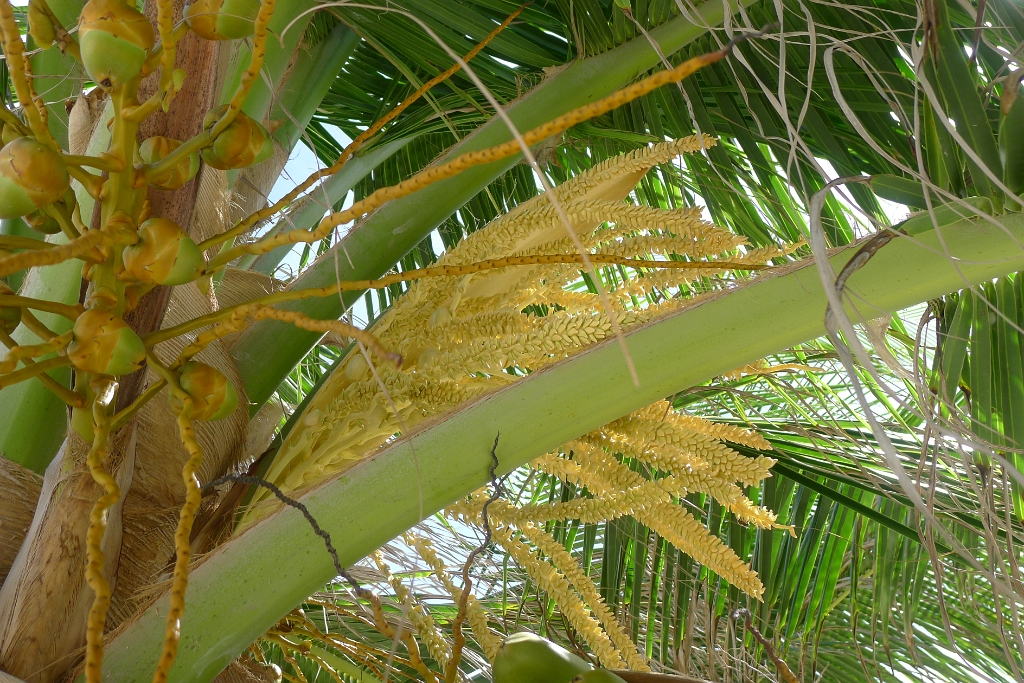 P1240106