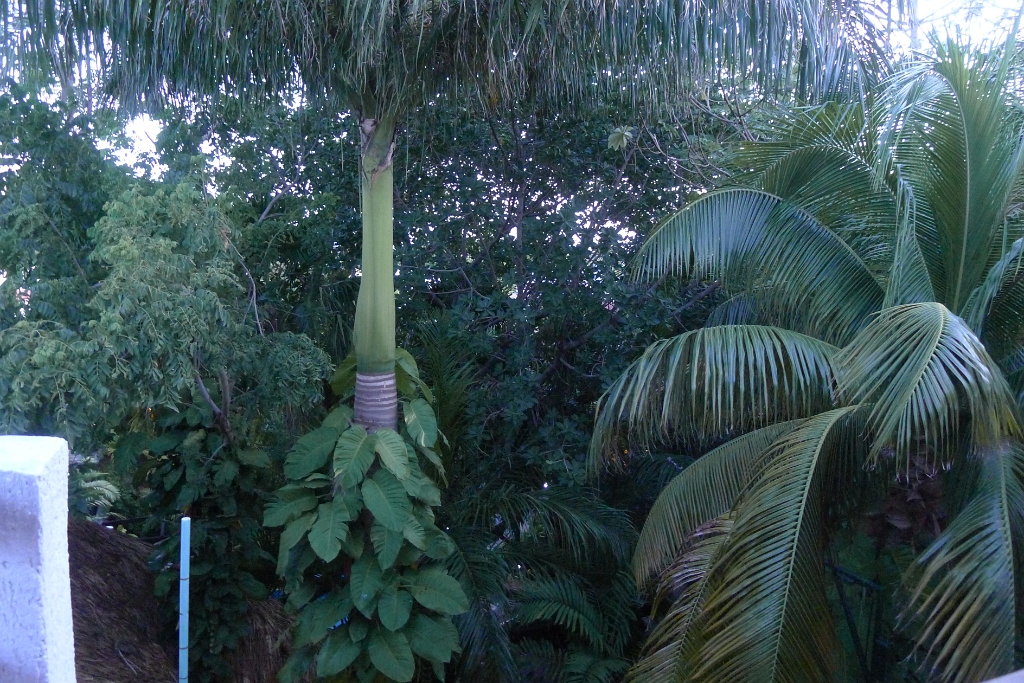 P1240118
