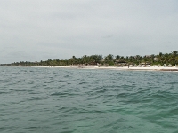 DSCN4705