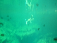 DSCN4713