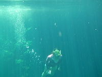 DSCN4714