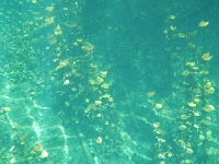 DSCN4717