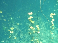 DSCN4718