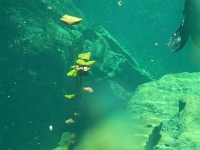 DSCN4721