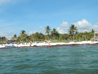 DSCN4725