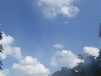 P1020521