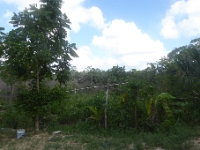 P1020522