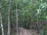 P1020525