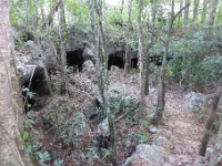 P1020526