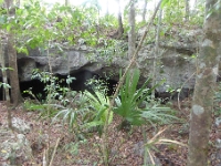 P1020527