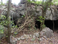 P1020529