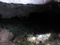 P1020532