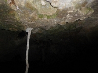 P1020534