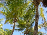 P1020546