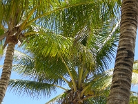 P1020547