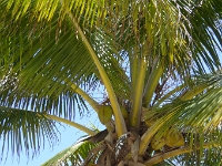P1020548