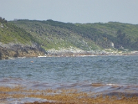 P1020557