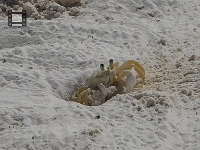 P1020559