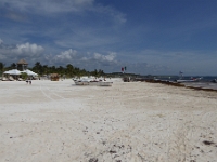 P1020569