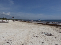 P1020570