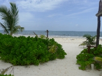 P1230961