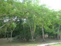 P1230982