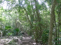 P1230991