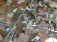 P1230998