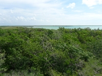 P1240017