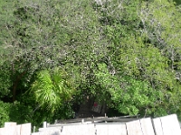 P1240018