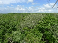 P1240019