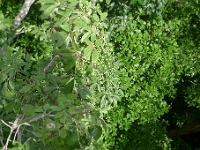 P1240020