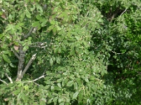 P1240021