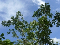 P1240022