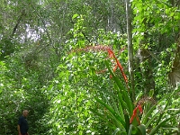 P1240023