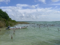 P1240029