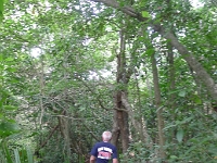 P1240032