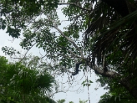P1240033