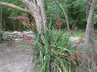 P1240035