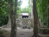 P1240040