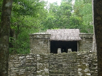 P1240041