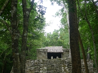 P1240042
