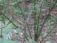 P1240044