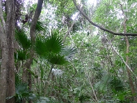 P1240046