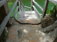 P1240055
