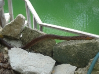 P1240059