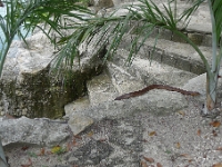 P1240064